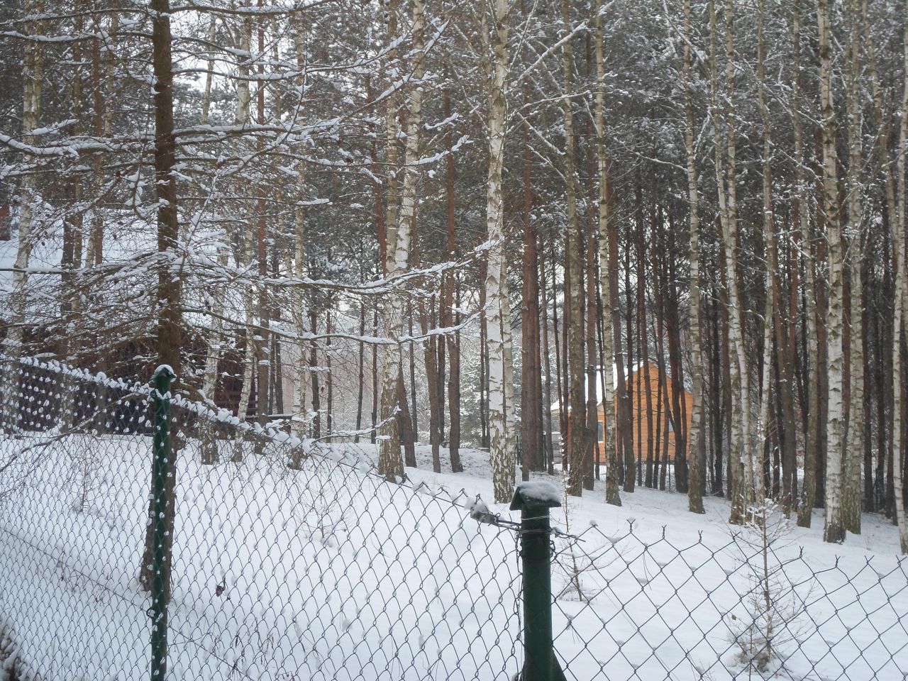 Działka rolno-budowlana Kozjaty. Zdjęcie 7