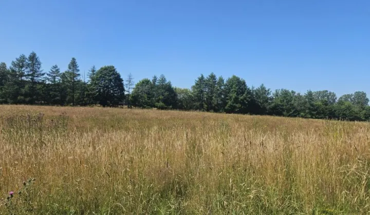 Działka budowlana Pomlewo, ul. Łąkowa