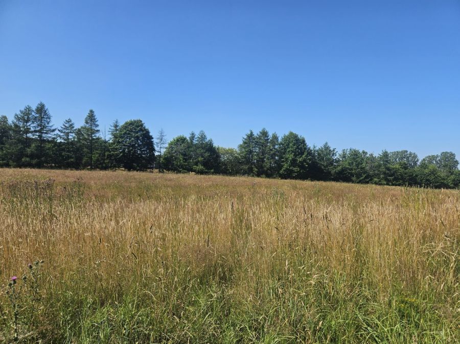 Działka budowlana Pomlewo, ul. Łąkowa