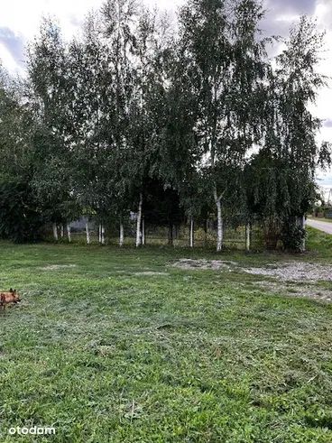 dom wolnostojący, 6 pokoi Podlesie Mleczkowskie. Zdjęcie 15