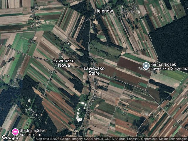 Działka leśna Ławeczko Stare. Zdjęcie 1