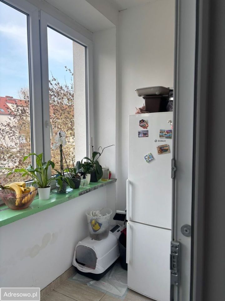 Mieszkanie 2-pokojowe Szczecin Niebuszewo, ul. Mikołaja Reja. Zdjęcie 5