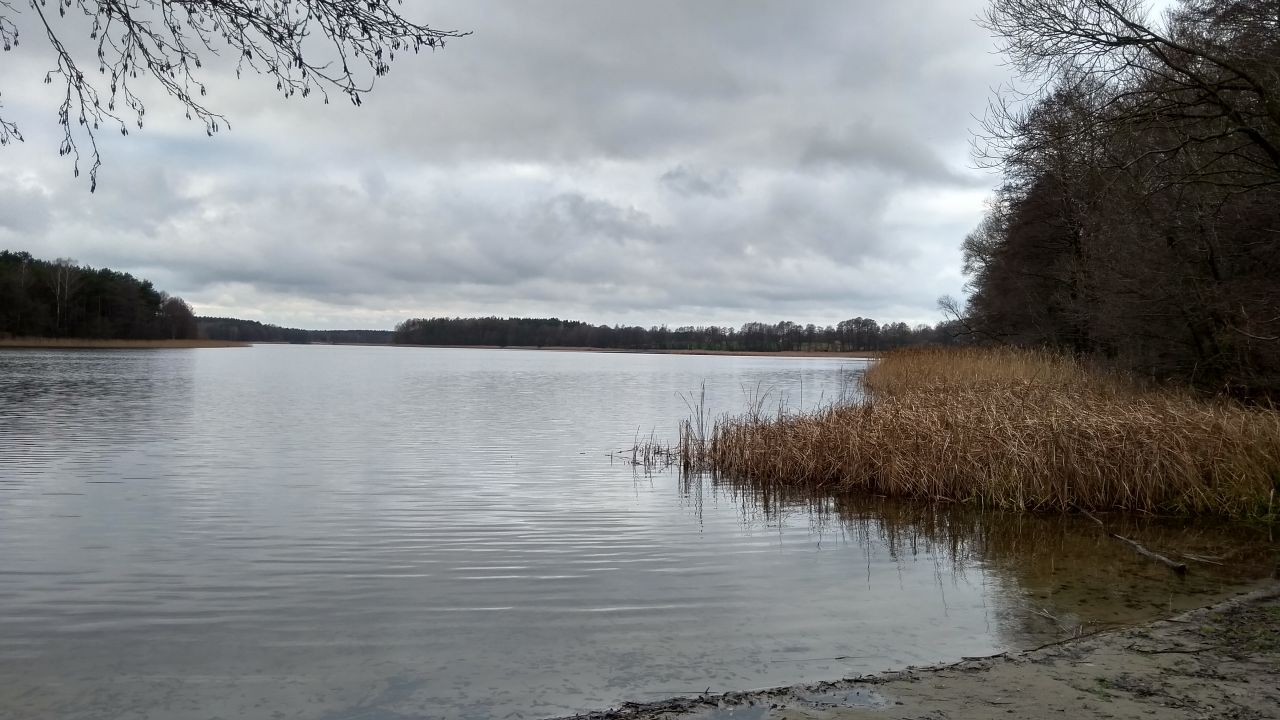 siedlisko, 5 pokoi Łąkie, ul. Podstawowa. Zdjęcie 21