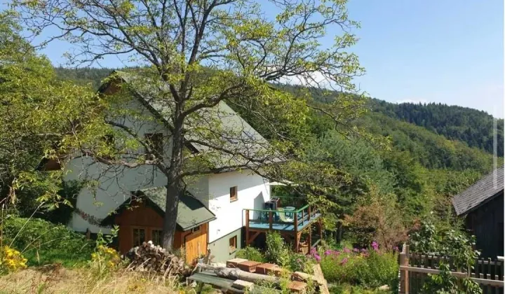 gospodarstwo, 4 pokoje Limanowa
