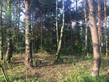 Działka budowlana Gwizdów Gwizdów. Zdjęcie 1