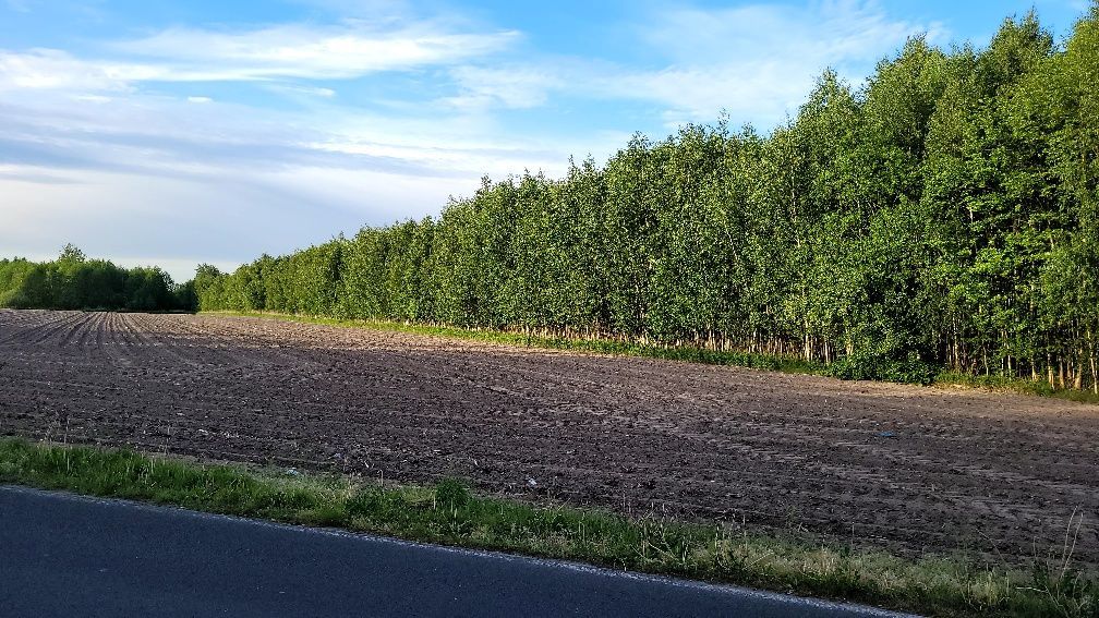 Działka rolna Adamowa Góra. Zdjęcie 7