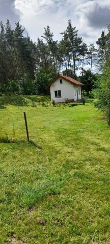 dom wolnostojący Pień. Zdjęcie 1