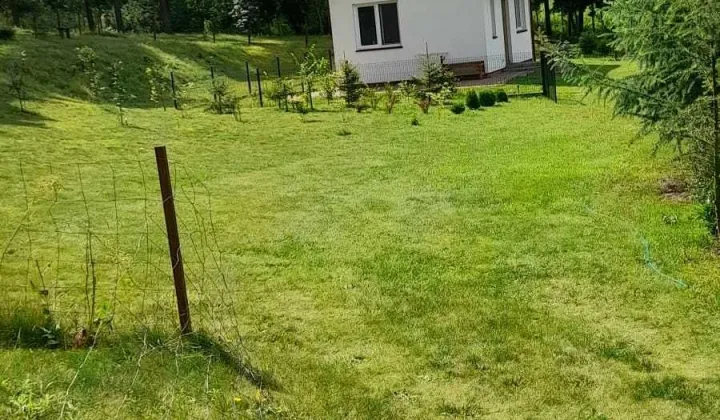 dom wolnostojący Pień