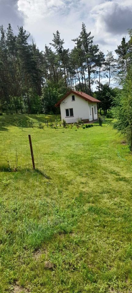 dom wolnostojący Pień. Zdjęcie 1