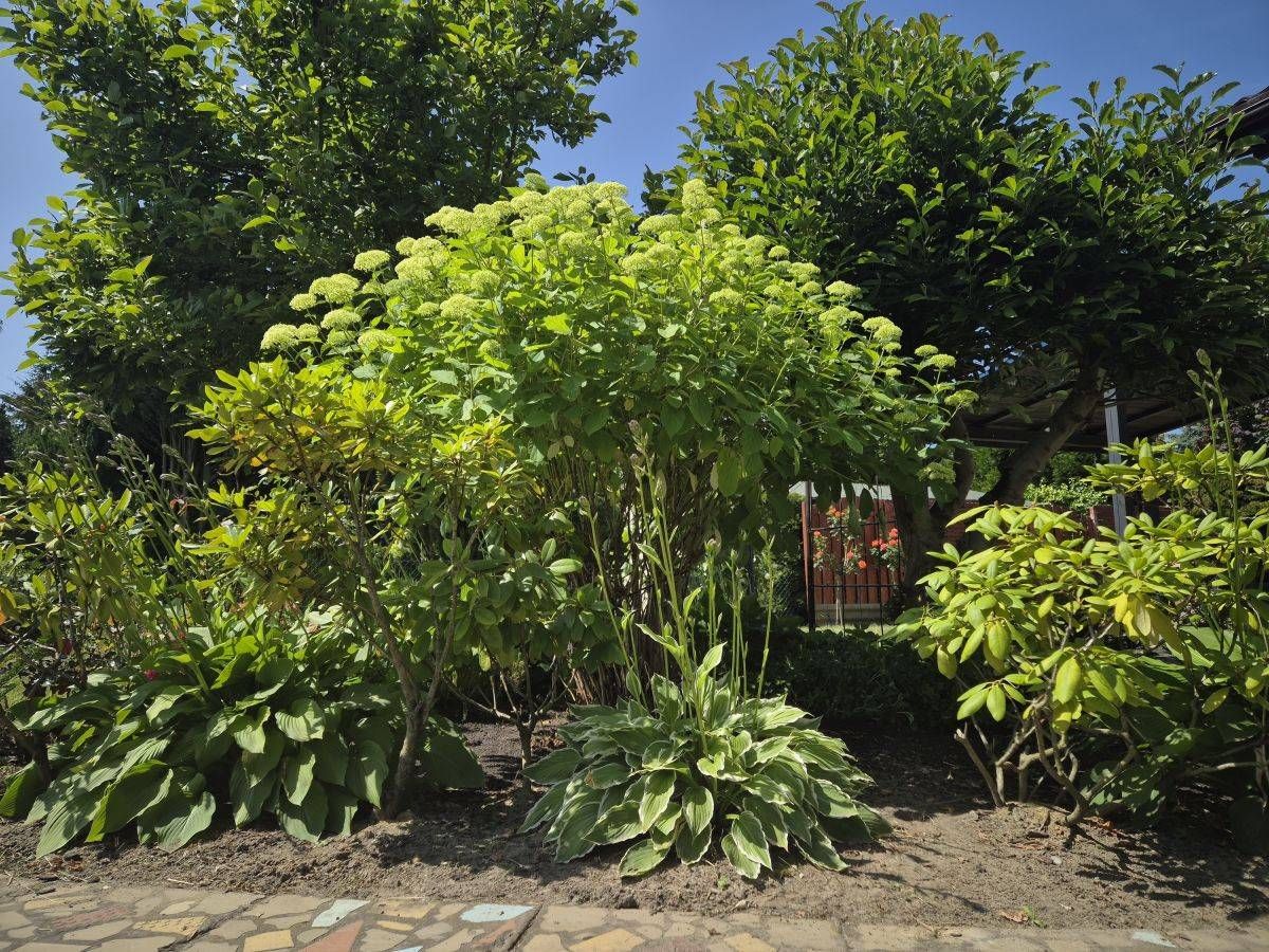 Działka rolna Poznań Nowe Miasto, ul. Jarosławska. Zdjęcie 5