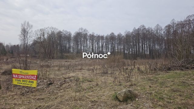 Działka rolna Rogojny. Zdjęcie 2
