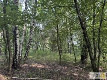 Działka budowlana Radlna. Zdjęcie 4