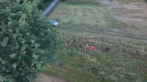 Działka rolno-budowlana Kamień, ul. Grzybowa. Zdjęcie 2