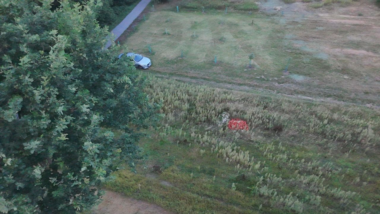 Działka rolno-budowlana Kamień, ul. Grzybowa. Zdjęcie 3