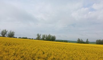Działka rolna Chrząszczewo, droga na Buniewice