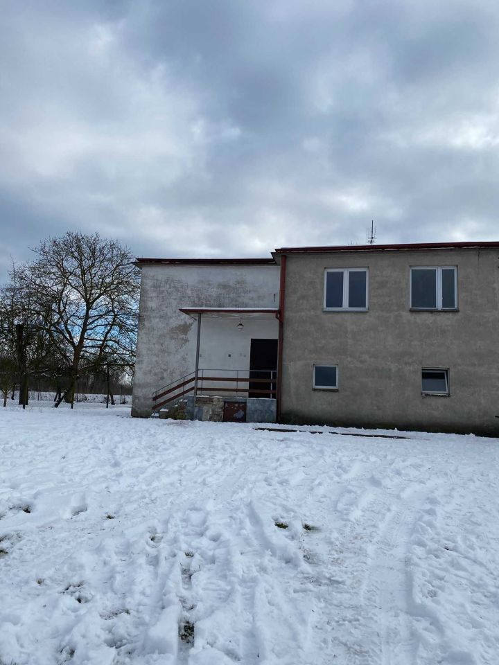 bliźniak Krasowiec. Zdjęcie 5