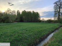 Działka rolno-budowlana Nagoszewka Pierwsza. Zdjęcie 3