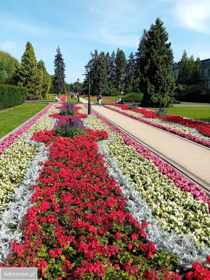 Mieszkanie 3-pokojowe Ciechocinek, ul. Osiedlowa. Zdjęcie 12