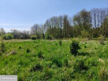 Działka budowlana Rusinowo. Zdjęcie 3