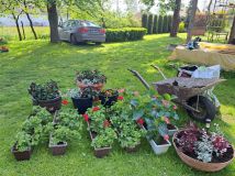 dom wolnostojący, 4 pokoje Tuł, ul. Religi. Zdjęcie 2