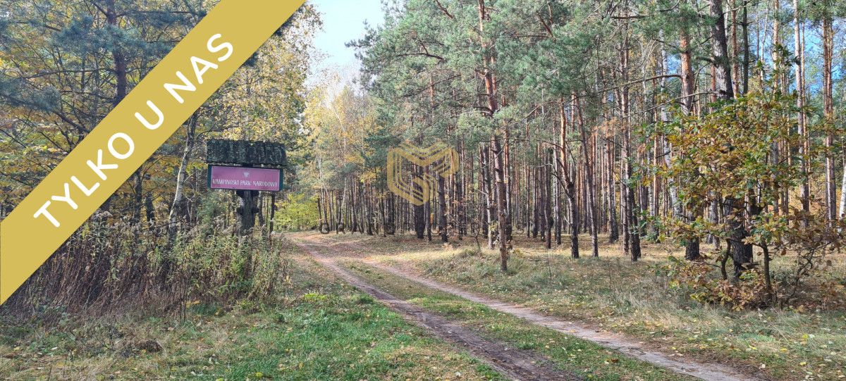 Działka budowlana Wólka, ul. Jaśminowa