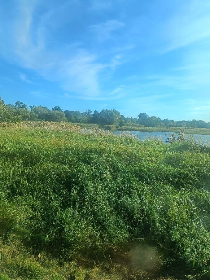 Działka budowlana Nowa Wieś Goszczańska Kuźnia Goszczańska. Zdjęcie 6