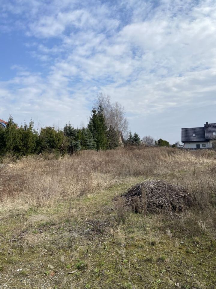 Działka budowlana Żórawina, ul. Śliwkowa. Zdjęcie 2