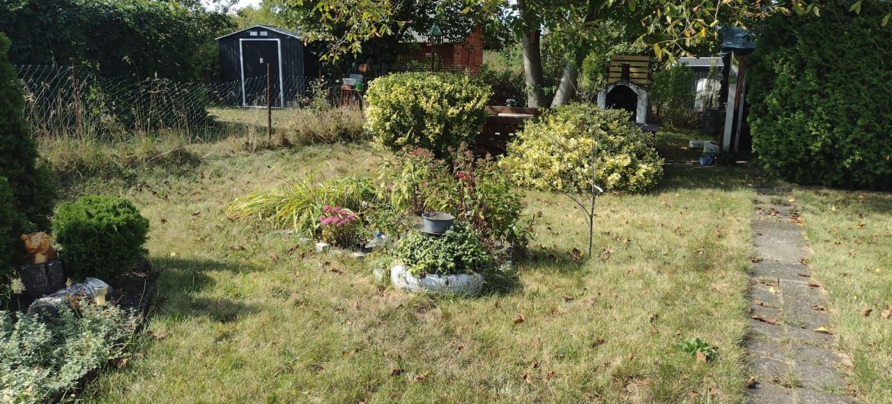 Działka rod Gliwice Ligota Zabrska. Zdjęcie 6