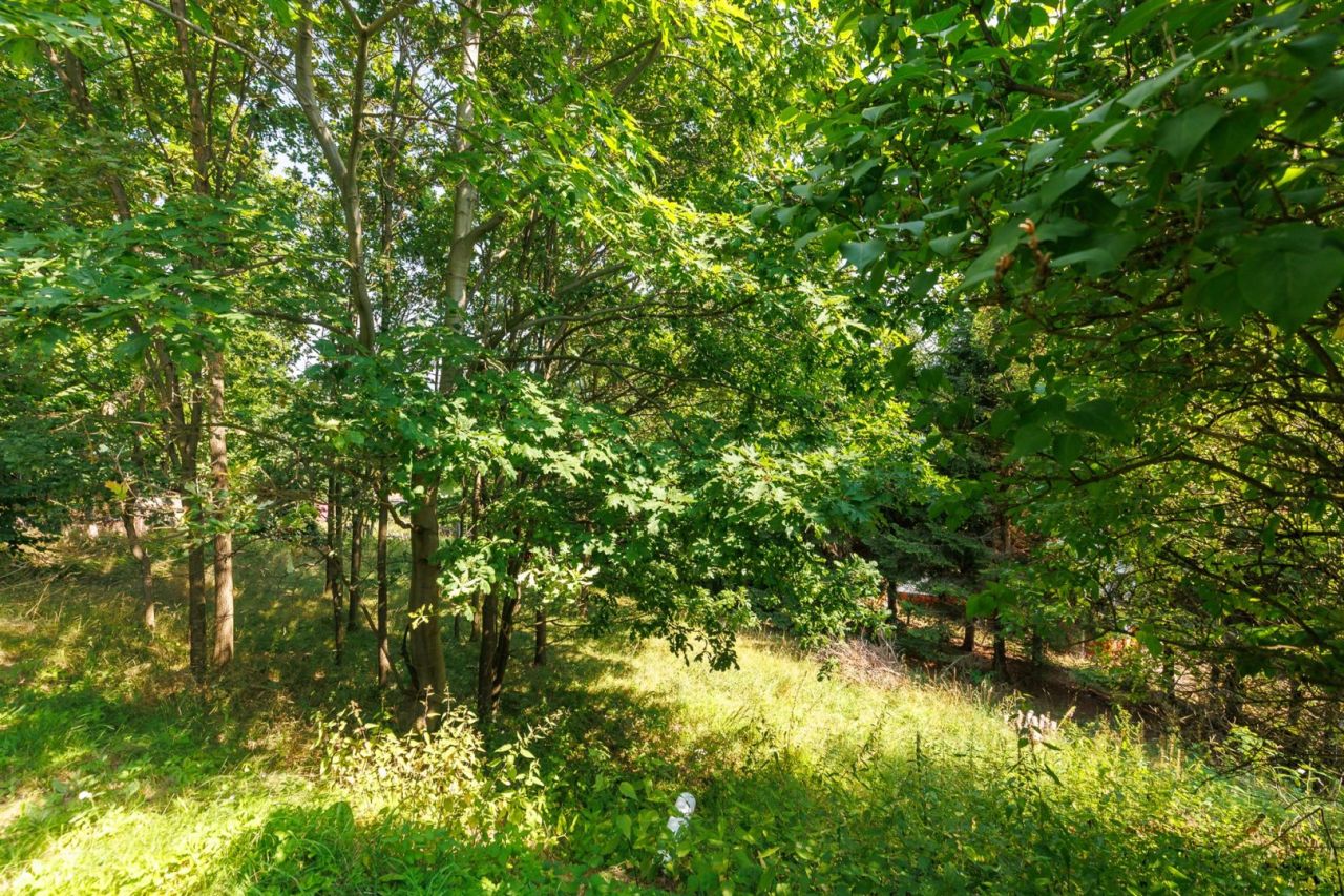 dom wolnostojący, 4 pokoje Przesieka. Zdjęcie 19