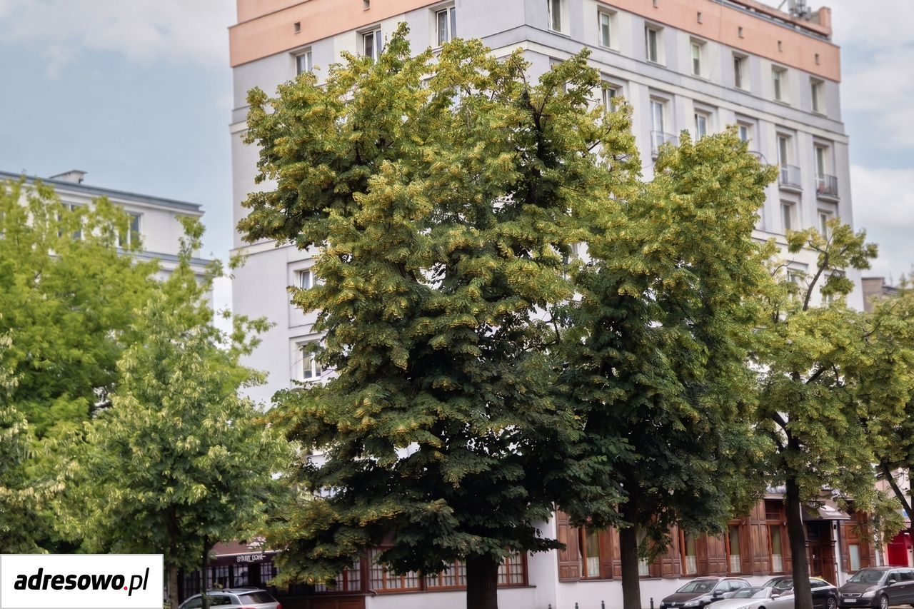 Mieszkanie 1-pokojowe Warszawa Mokotów, ul. Puławska. Zdjęcie 7
