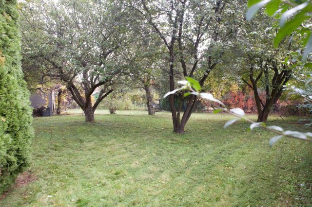 Działka rod Warszawa Wawer, ul. Skalnicowa. Zdjęcie 2