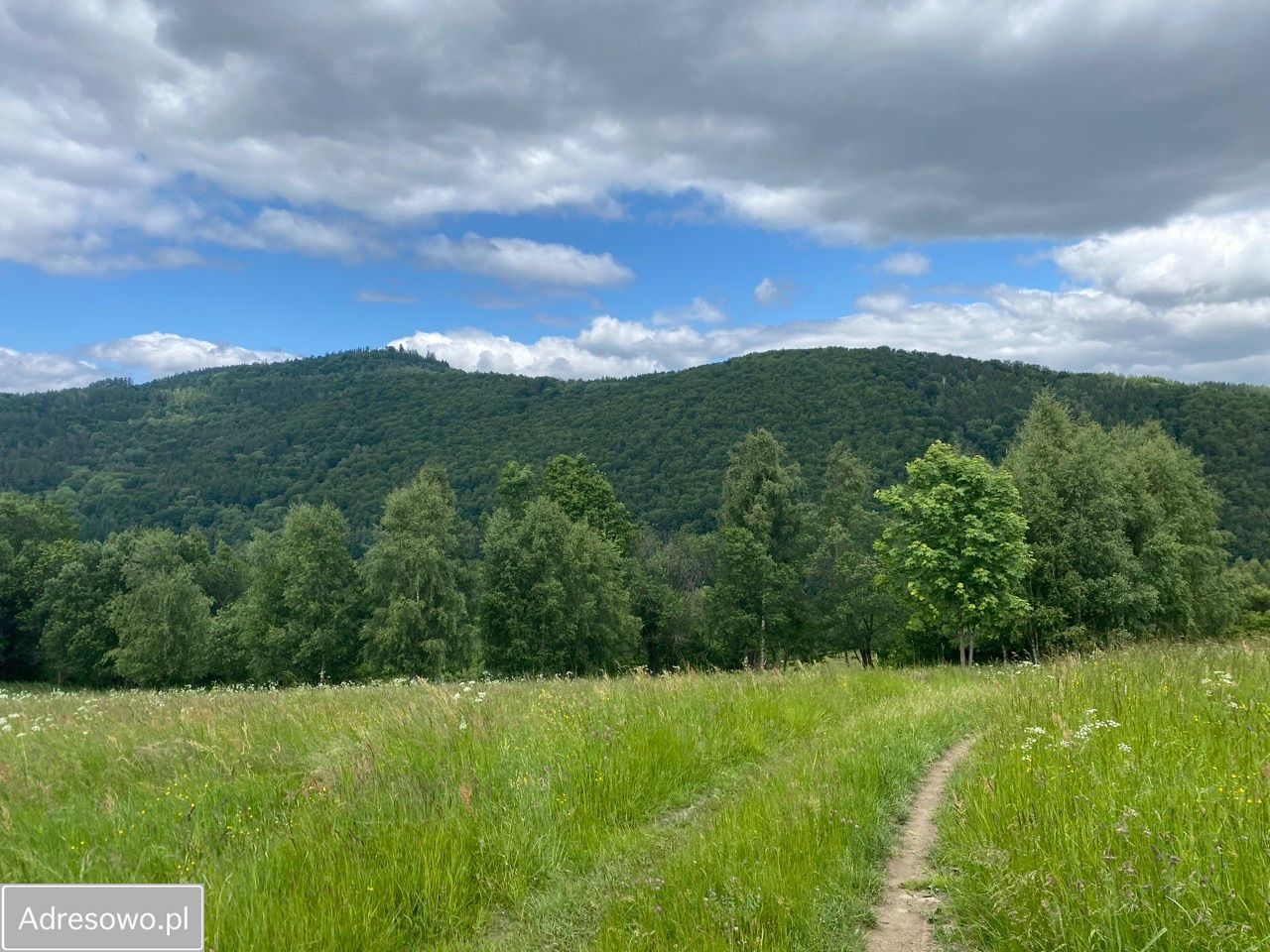Działka budowlana Nowa Bystrzyca. Zdjęcie 7
