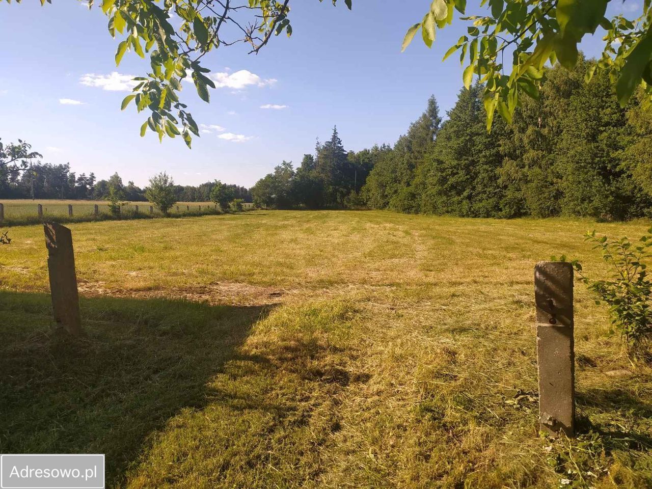 siedlisko, 6 pokoi Ortel Książęcy Drugi. Zdjęcie 13