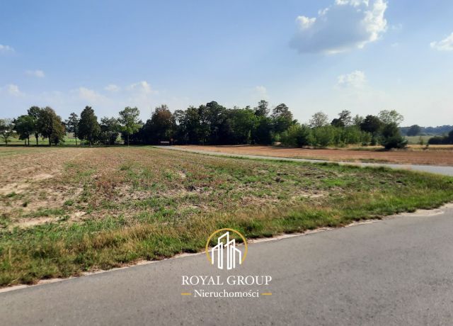 Działka rolna Rudno. Zdjęcie 5