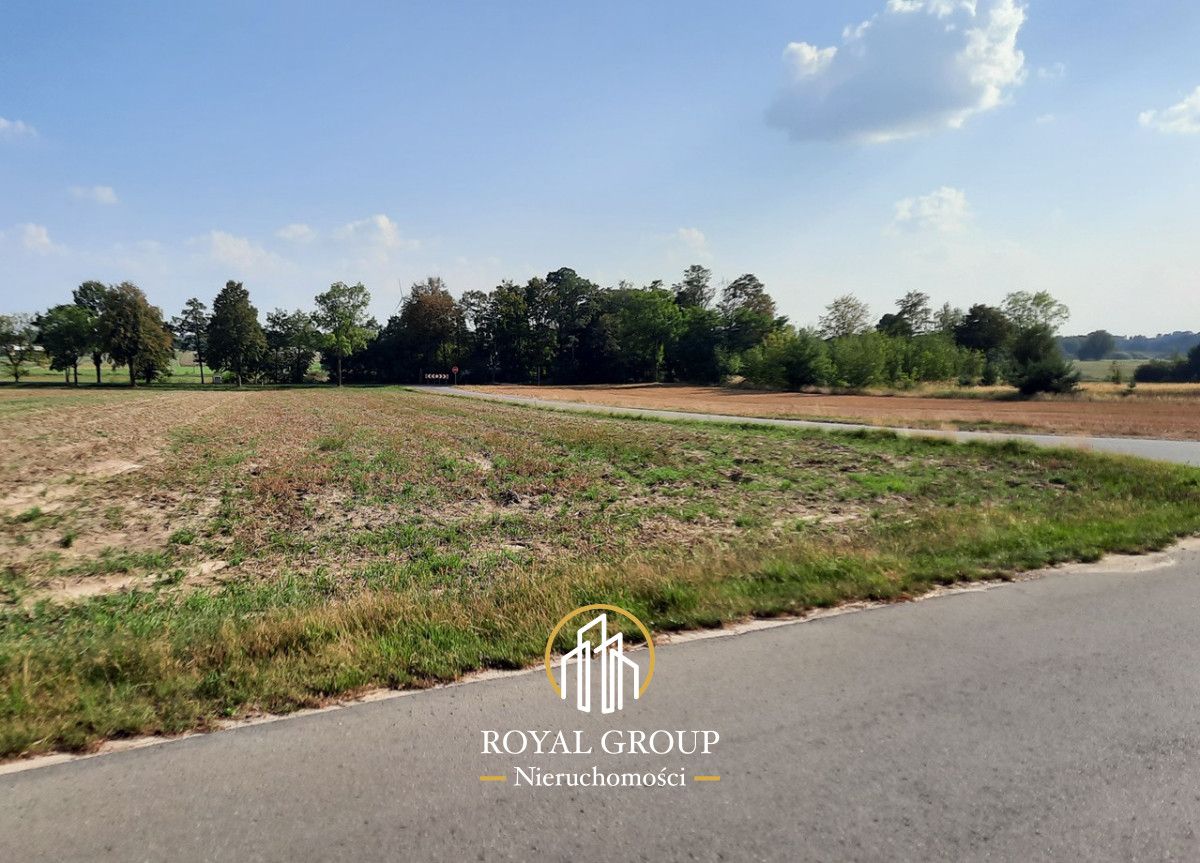 Działka rolna Rudno. Zdjęcie 5