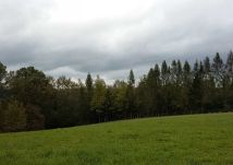 Działka budowlana Krzyszkowice. Zdjęcie 1