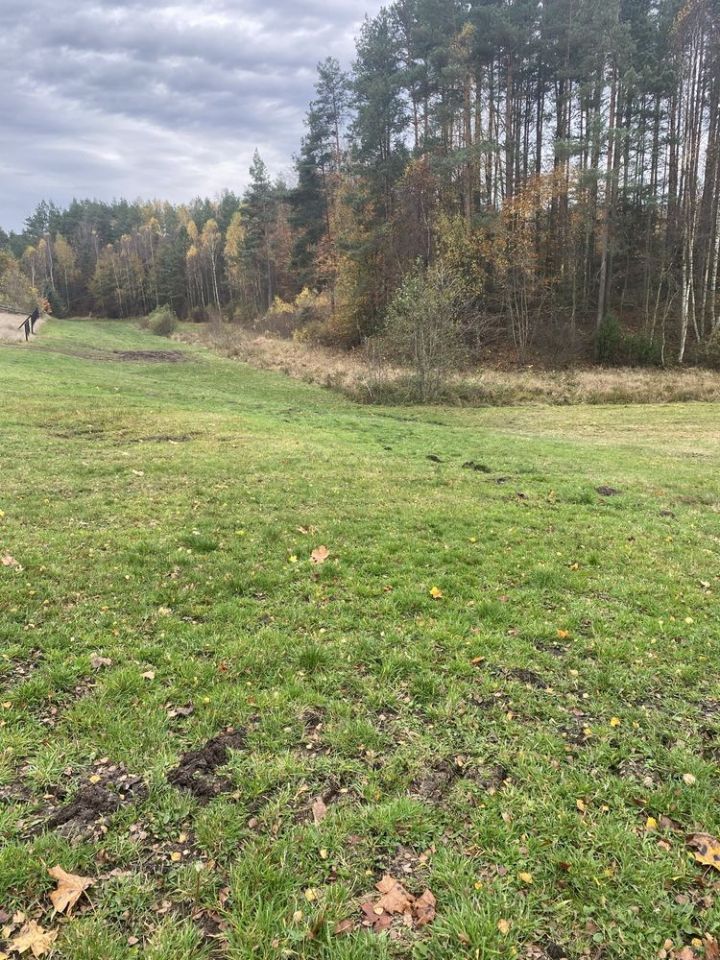 Działka budowlana Borek Kamienny. Zdjęcie 3