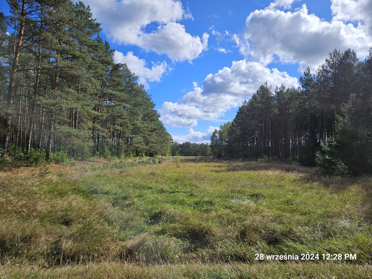 Działka rolno-budowlana Wojtal. Zdjęcie 3