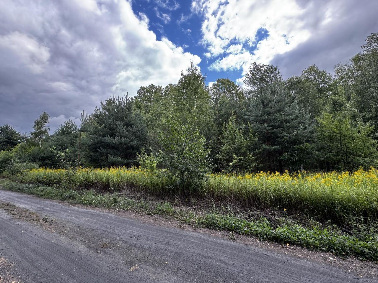 Działka budowlana Nowy Prażmów, ul. Akacjowa. Zdjęcie 7