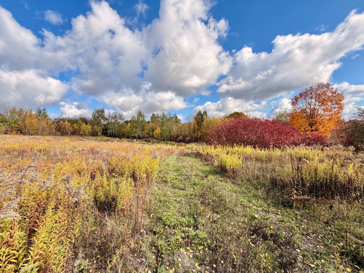 Działka budowlana Jakubowice Konińskie-Kolonia, ul. Malinowa