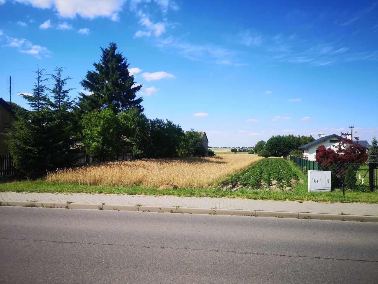 Działka rolno-budowlana Nowodwór. Zdjęcie 5