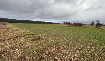 Działka budowlana Bielkowo