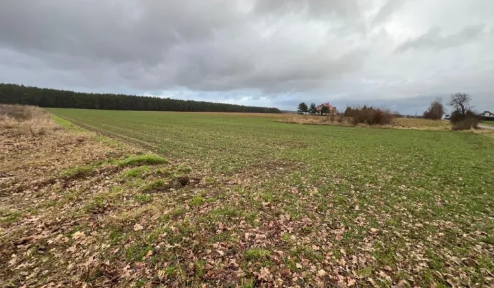 Działka budowlana Bielkowo