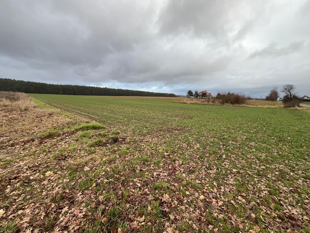 Działka budowlana Bielkowo