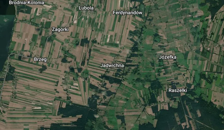 Działka rolna Jadwichna