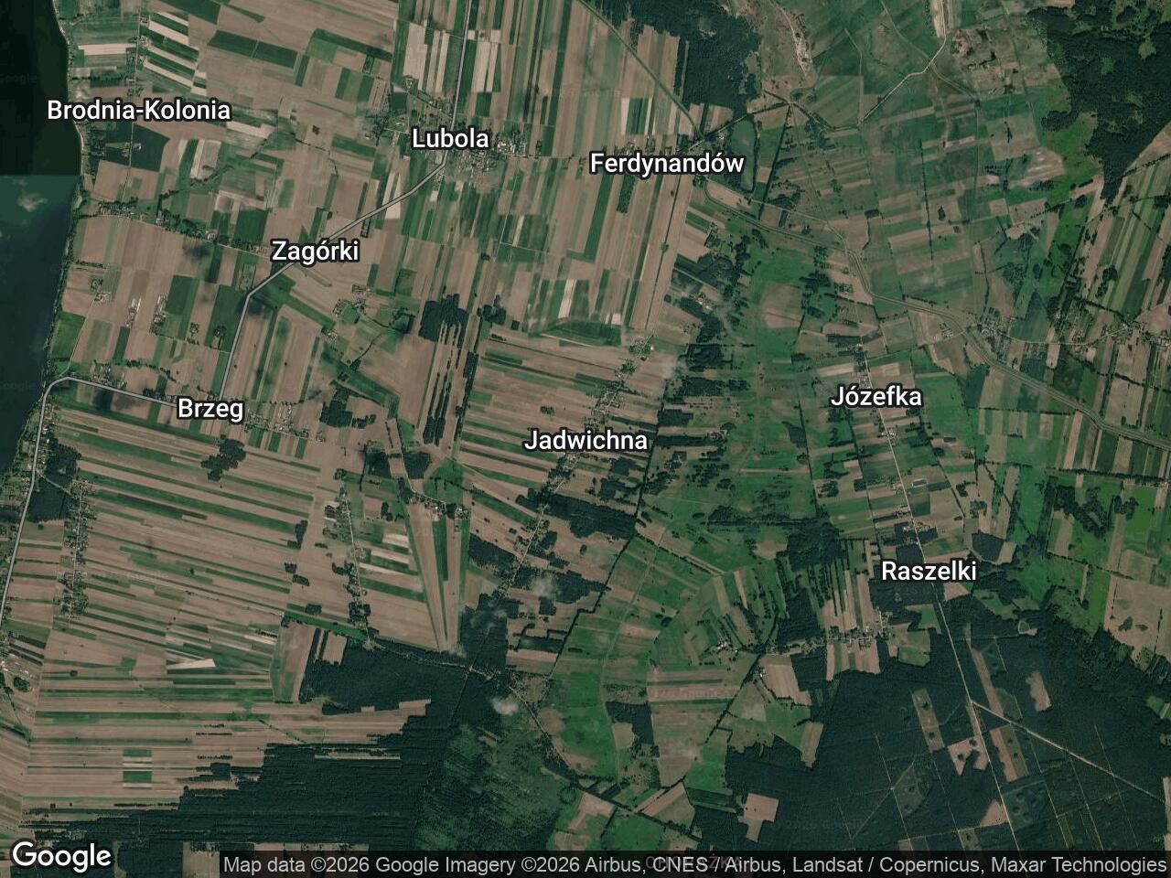 Działka rolna Jadwichna. Zdjęcie 1
