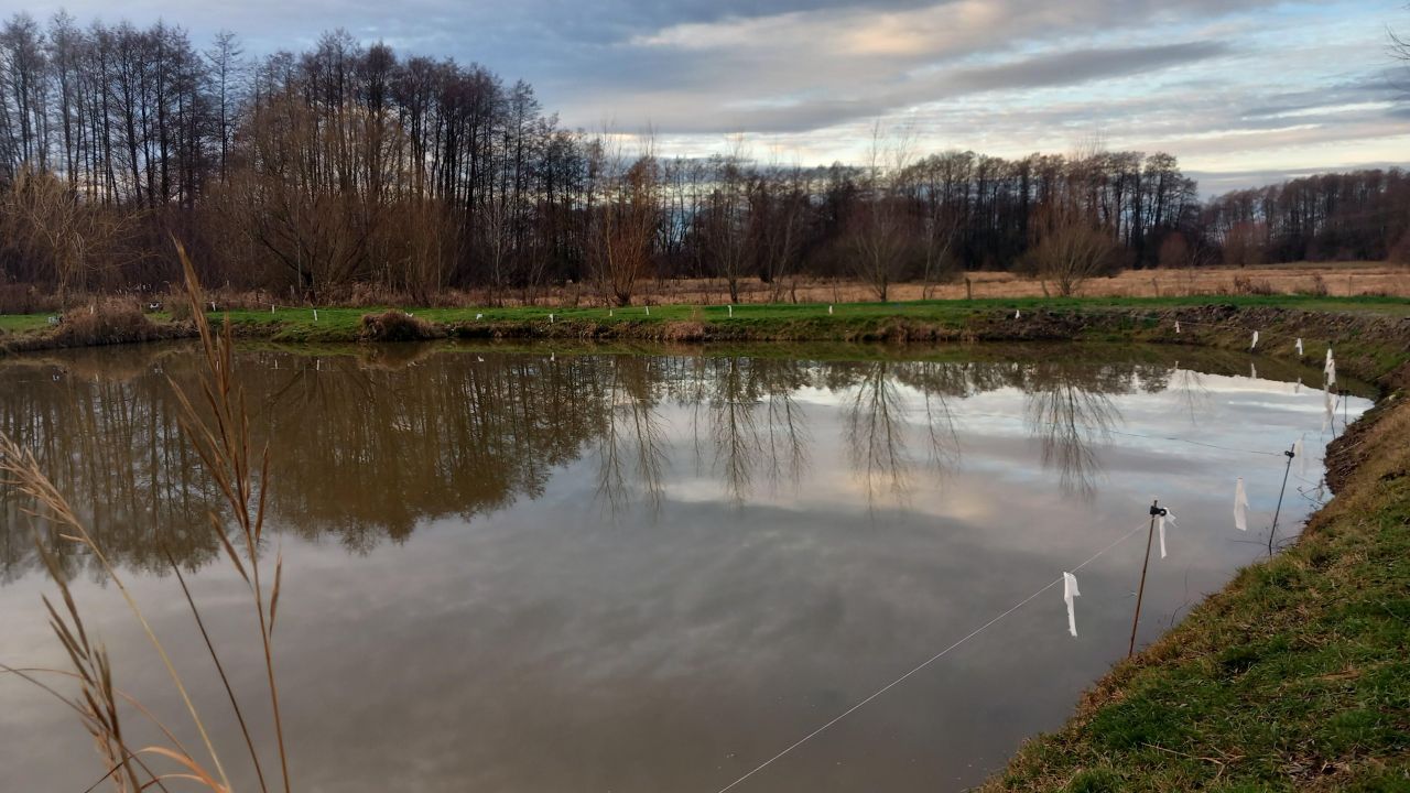 Działka inwestycyjna Krężoły, ul. Ziołowa. Zdjęcie 2