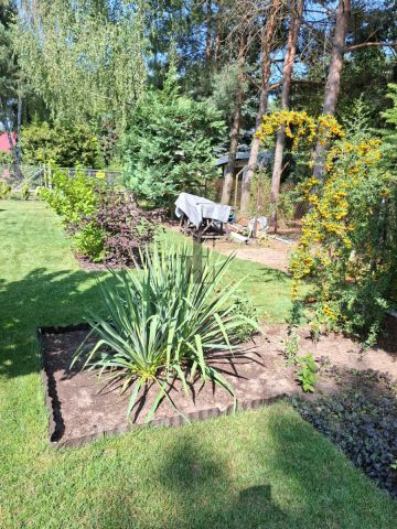 dom wolnostojący, 3 pokoje Stasiopole, ul. Działkowa. Zdjęcie 20