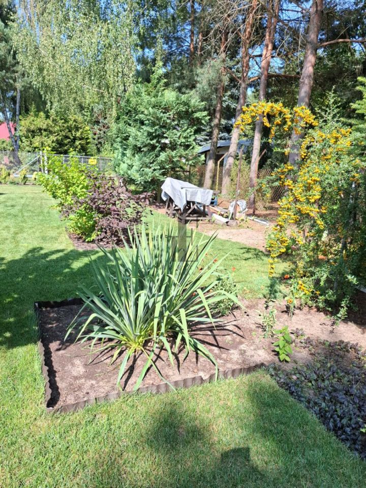 dom wolnostojący, 3 pokoje Stasiopole, ul. Działkowa. Zdjęcie 20