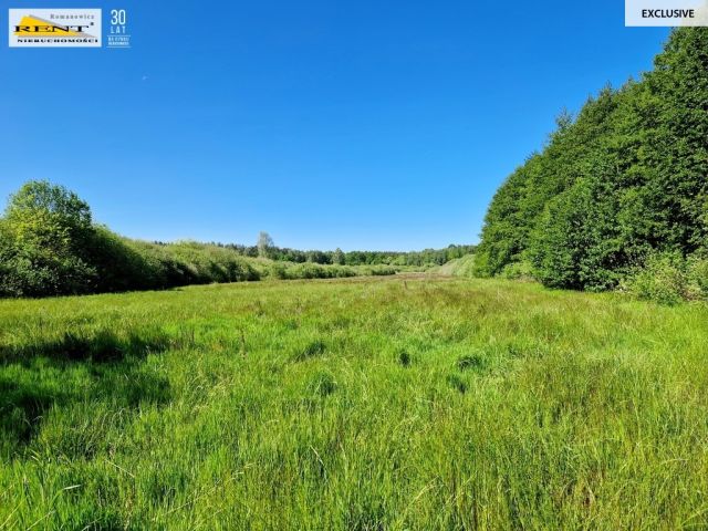 Działka rolna Kobylanka. Zdjęcie 5